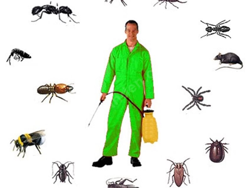 Sütçüler Böcek İlaçlama