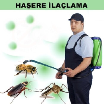 Sütçüler Böcek İlaçlama